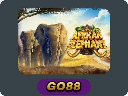 African Elephant